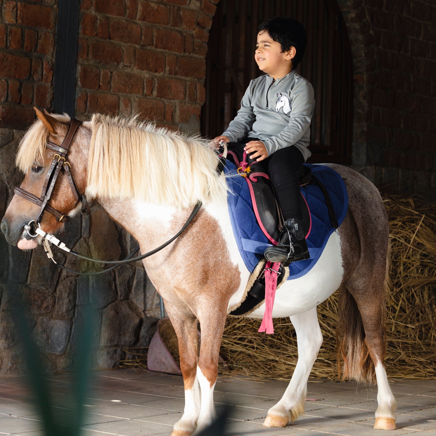 Riding T-Shirts For Kids (Grey)