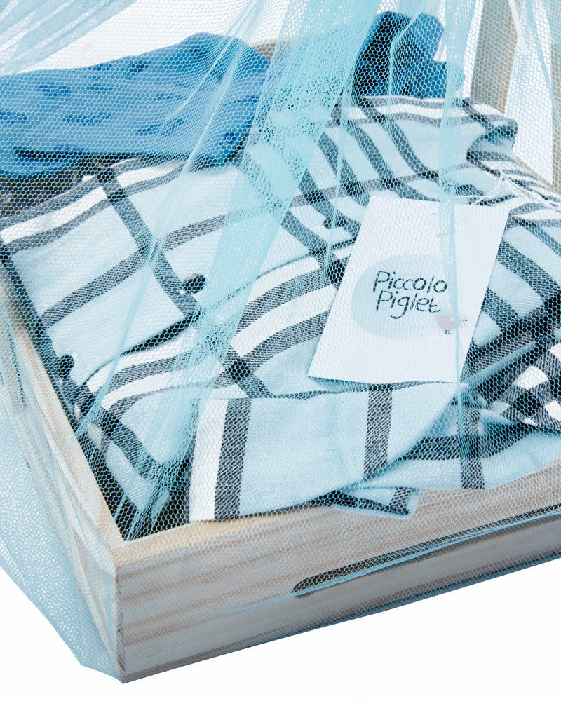 Gift Basket Medium (Baby Boy)