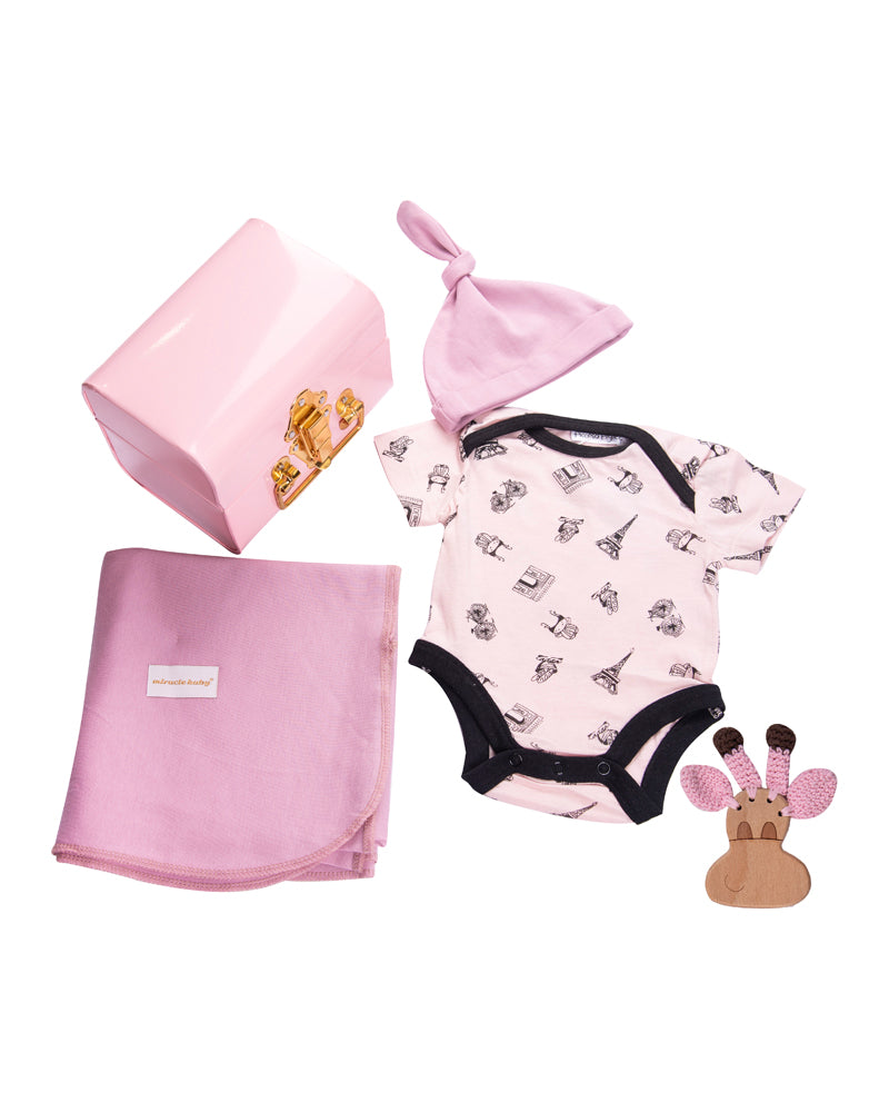 Gift basket- large (Baby Girl)