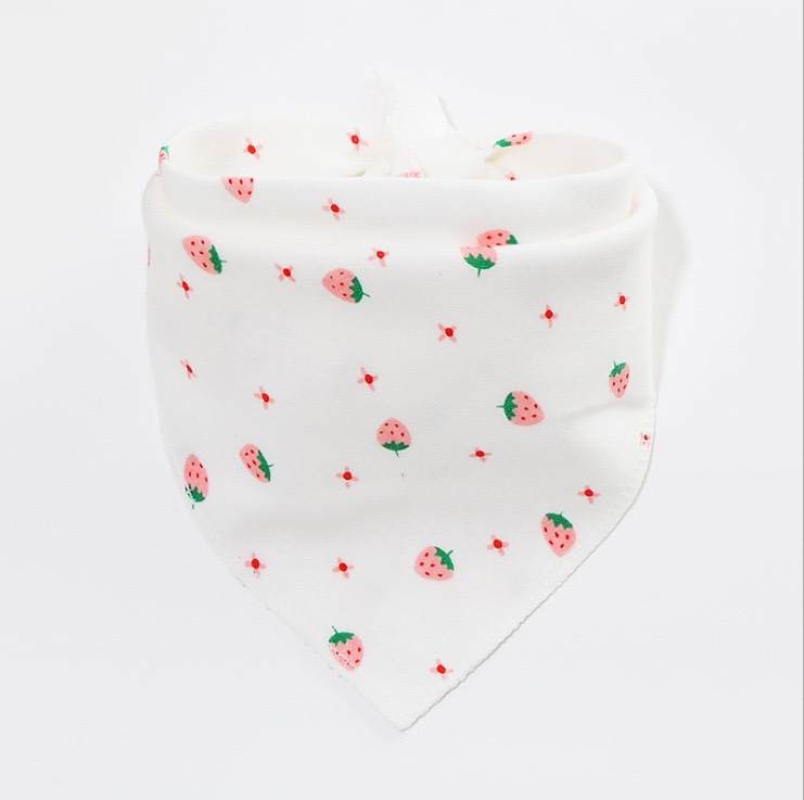 Bandana bib set (Set of 5 in different prints)