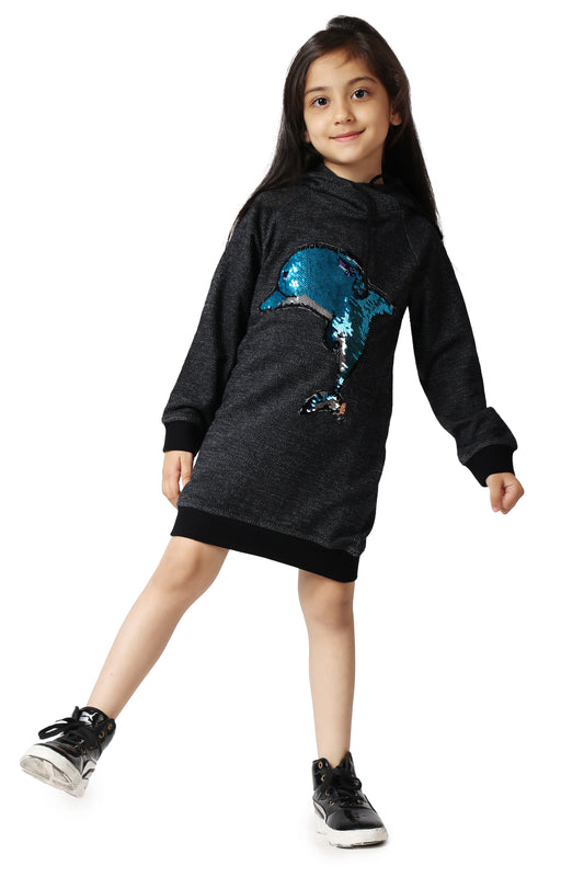 Sweatshirt Dress
